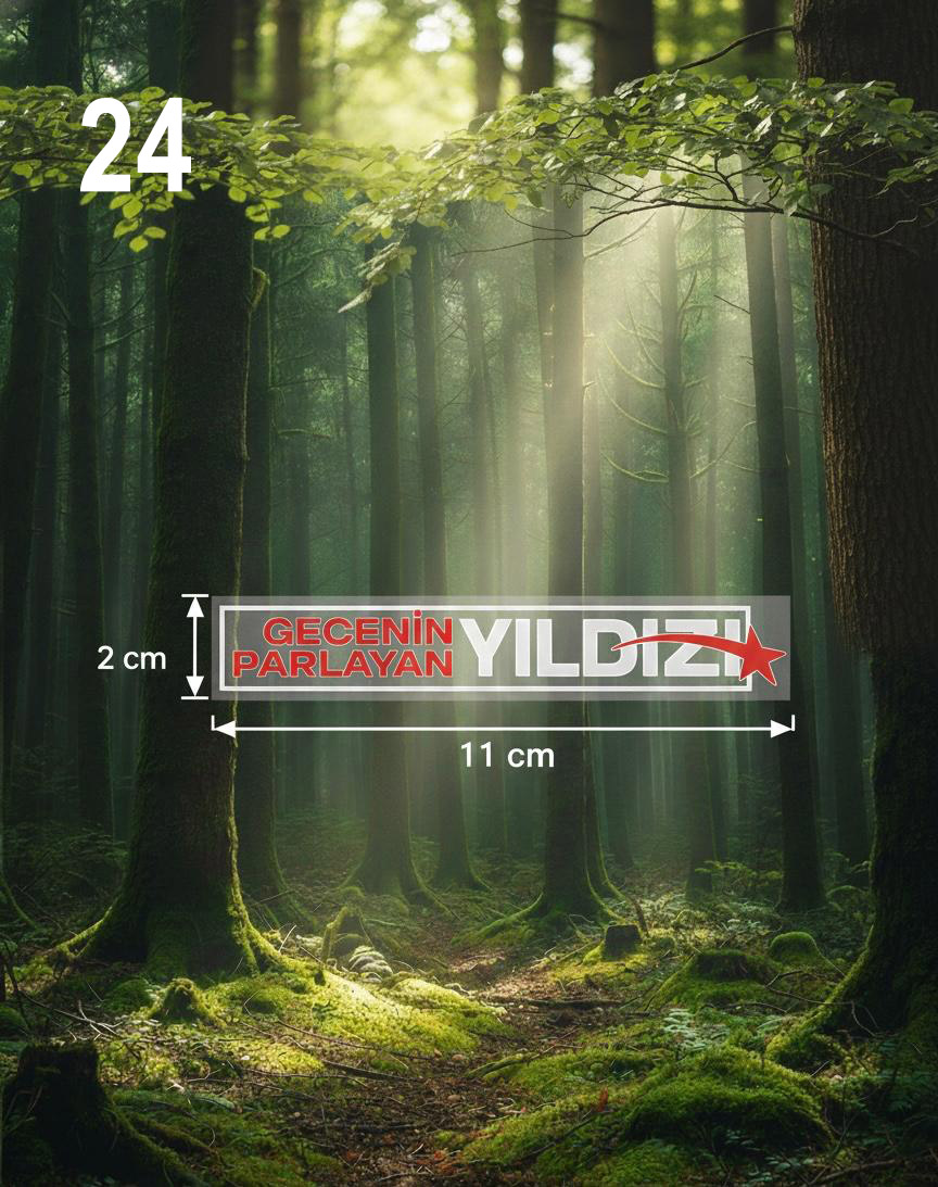 24 Model UV DTF Sticker - 13'lü Seçmeli Paket